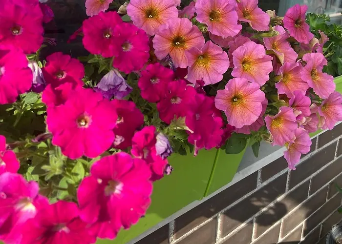 M&m Center With Free Parking *