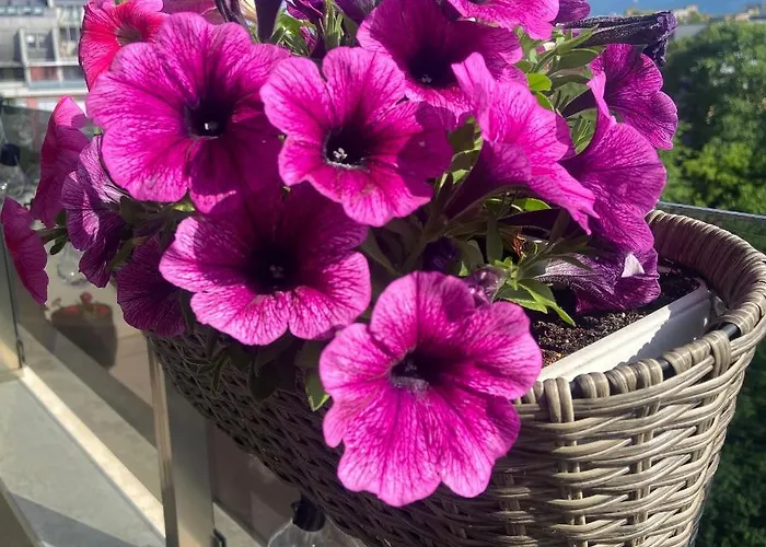 M&m Center With Free Parking *